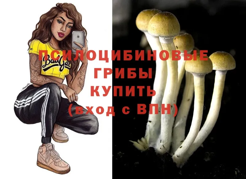 даркнет сайт  KRAKEN ссылка  Галлюциногенные грибы Psilocybine cubensis  Краснозаводск 