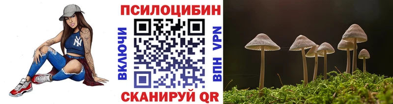 Псилоцибиновые грибы Psilocybine cubensis где найти Краснозаводск